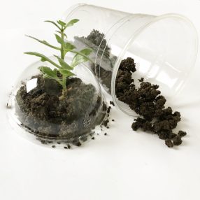 Lebomló pohár, komposztálható pohár